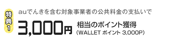auでんきを含む対象事業者の公共料金の支払いで3,000円相当のポイント獲得